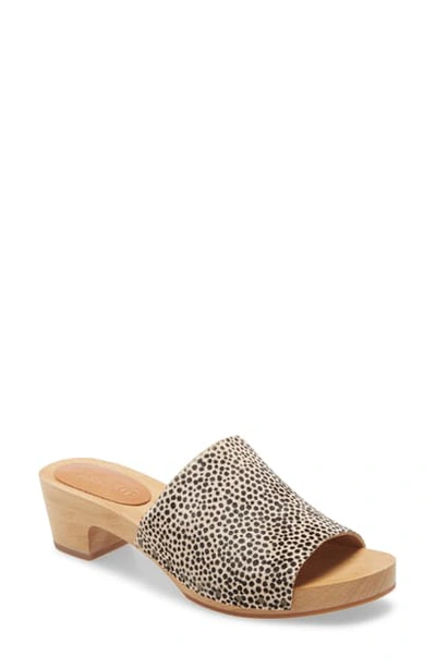 Shop Madewell The Evelyn Clog Slide Sandal In Dried Flax Print Calf Hair