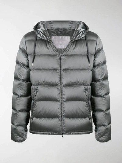 Shop Herno Metallic Padded Jacket In Grey