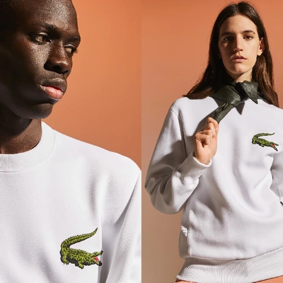 Shop Lacoste Unisex  Fashion Show Edition Oversize Croc Sweatshirt In White