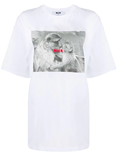 Shop Msgm Monkey-print Oversized T-shirt In White