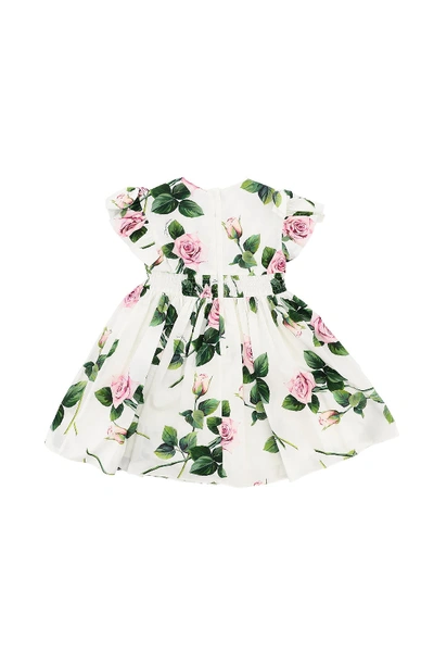 Shop Dolce & Gabbana Tropical Rose Print Dress In White