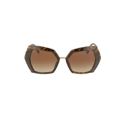 Shop Dolce & Gabbana Sunglasses 4377 Sole In Brown