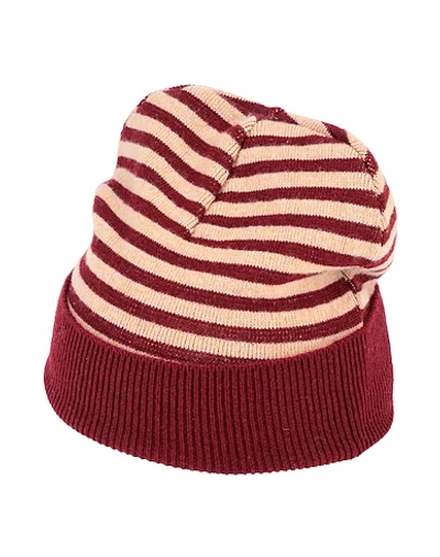 Shop Doppiaa Man Hat Burgundy Size Onesize Merino Wool, Cashmere In Red