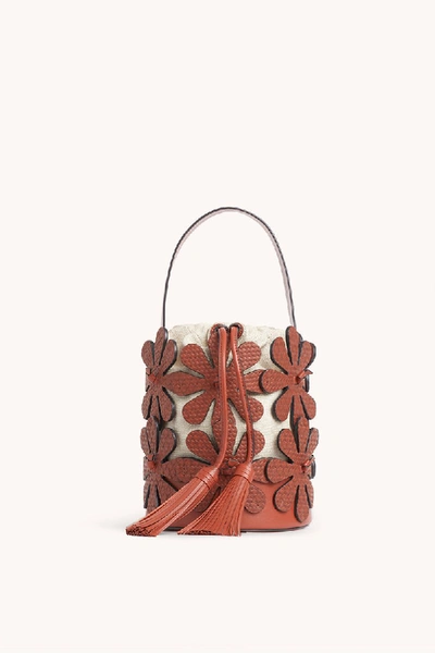 Shop Rebecca Minkoff Floral Bucket Crossbody In Acorn