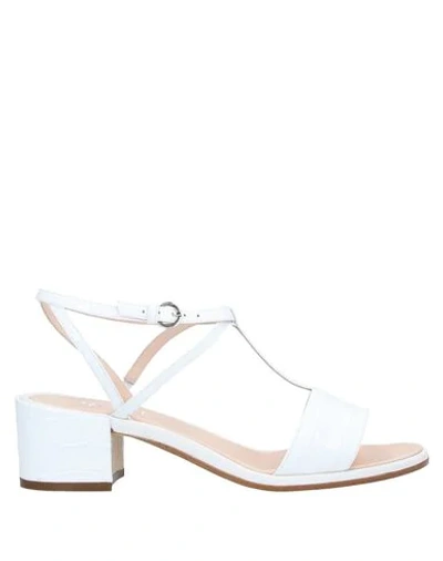 Shop Rodo Sandals In White
