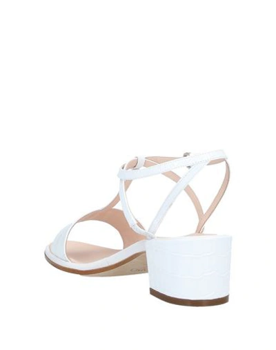 Shop Rodo Sandals In White