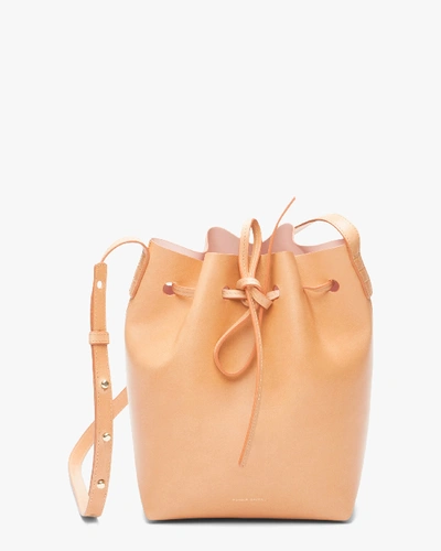 Shop Mansur Gavriel Cammello Mini Leather Bucket Bag In Cammello/rosa