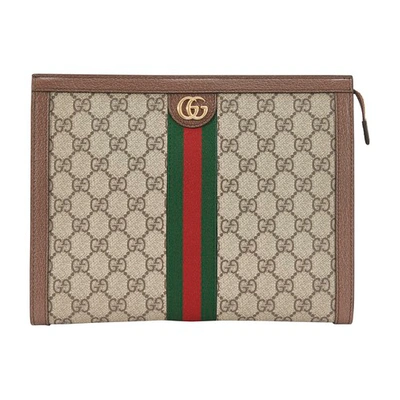 Shop Gucci Ophidia Pouch In Brown Ebony/web