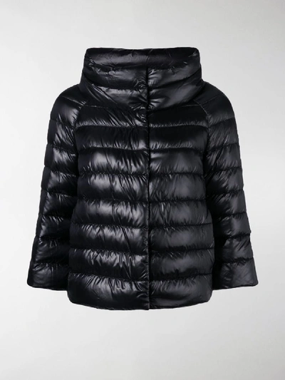 Shop Herno Sofia Padded Jacket In Black