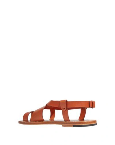 Shop Bottega Veneta Toe Strap Sandals In Brown