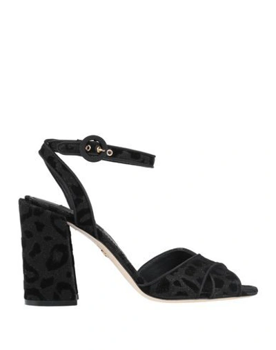 Shop Dolce & Gabbana Woman Sandals Black Size 7 Textile Fibers