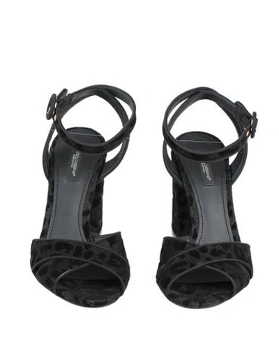 Shop Dolce & Gabbana Woman Sandals Black Size 7 Textile Fibers