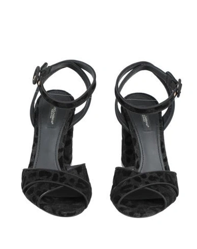 Dolce & Gabbana Sandals In Black