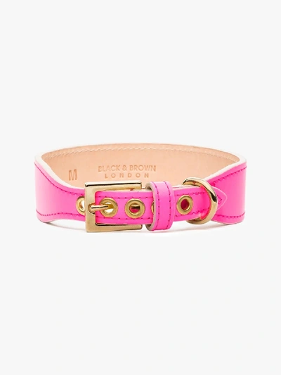 Shop Black & Brown Pink Holly Leather Dog Collar