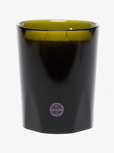Cire Trudon Abd El Kader Intermediate Scented Candle In Green