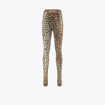 Shop Ganni Brown Leopard Print Tights In Black