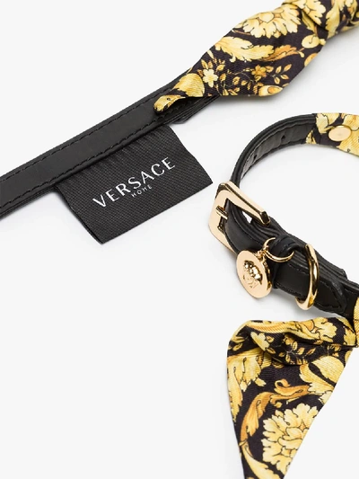 Shop Versace Black Dog Collar And Leash Set