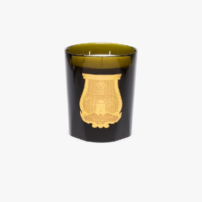 Shop Cire Trudon Green And White Ernesto Great Candle
