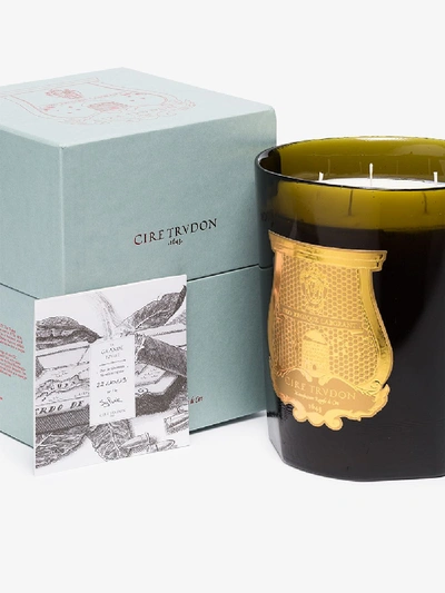 Shop Cire Trudon Green And White Ernesto Great Candle