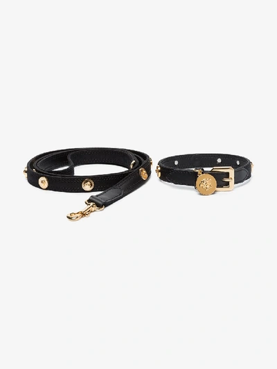 Shop Versace Set Aus Hundehalsband Und -leine In Black