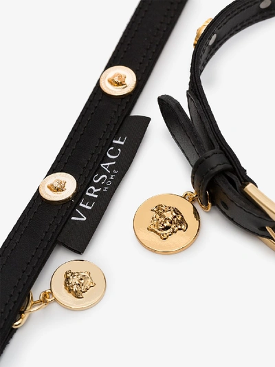 Shop Versace Set Aus Hundehalsband Und -leine In Black