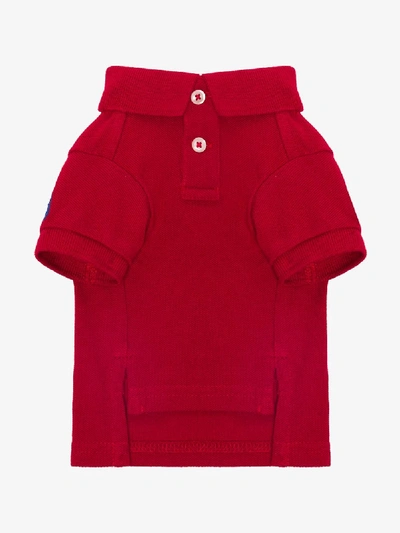 Shop Polo Ralph Lauren Basic Dog Polo Sweater In Red