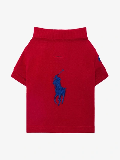 Shop Polo Ralph Lauren Basic Dog Polo Sweater In Red