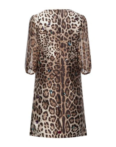 Dolce & Gabbana Short Dresses In Brown
