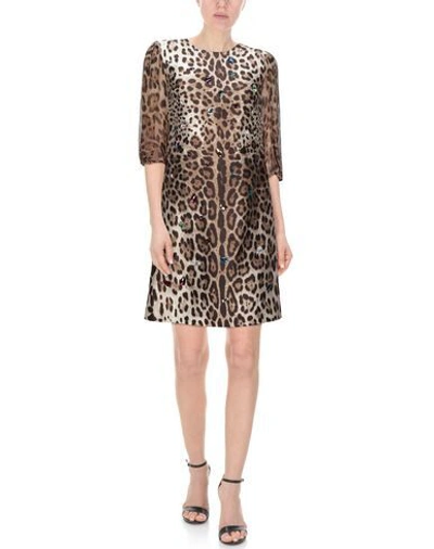 Dolce & Gabbana Short Dresses In Brown