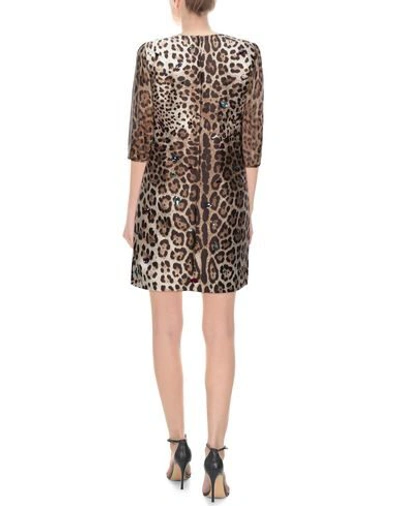 Dolce & Gabbana Short Dresses In Brown