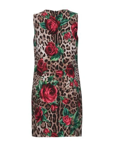 Dolce & Gabbana Short Dresses In Camel