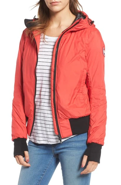 Shop Canada Goose Dore Goose Down Hooded Jacket In Red
