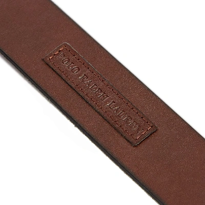 Shop Polo Ralph Lauren Roller Buckle Belt In Brown