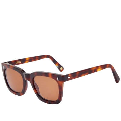 Shop Cubitts Cubitts Judd Sunglasses In Brown