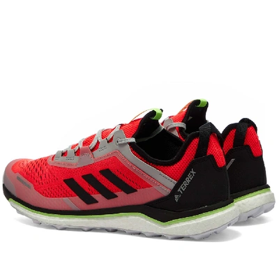 Shop Adidas Terrex Agravic Flow In Red