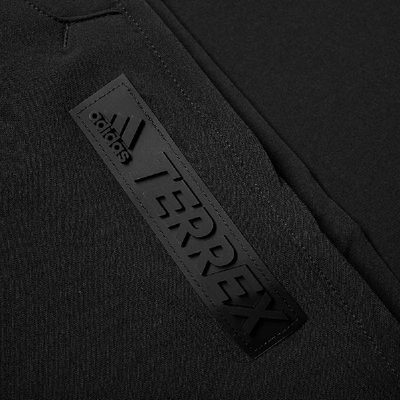 Shop Adidas Terrex Cap Wl Pant In Black