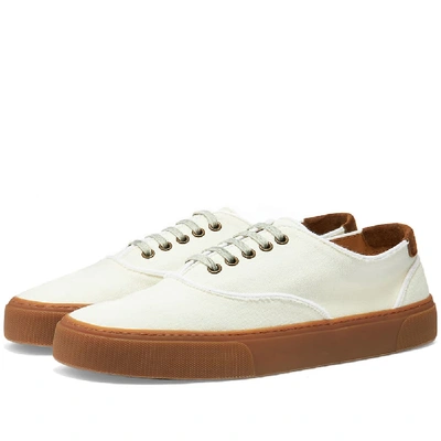 Shop Saint Laurent Venice Lace Up Sneaker In Neutrals