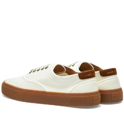 Shop Saint Laurent Venice Lace Up Sneaker In Neutrals