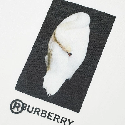 Shop Burberry Swan Logo Tee In White