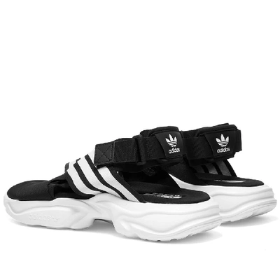 Shop Adidas Womens Adidas Magmur Sandal W In Black