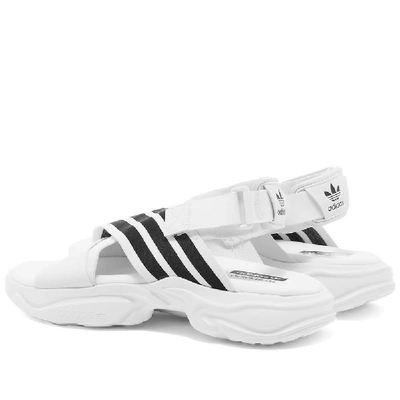Shop Adidas Womens Adidas Magmur Sandal W In White