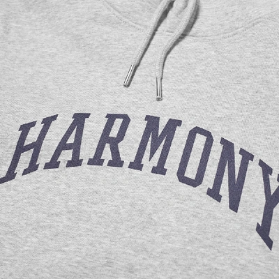 Shop Harmony Curve Logo Popover Hoody In Grey