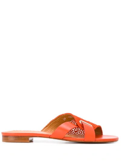 Shop Clergerie Iota Woven Sandals In Orange