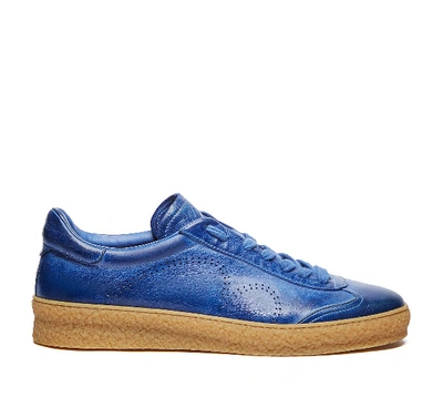 Shop Barracuda Sneakers In Azzurro