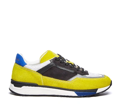 Shop Barracuda Sneaker In I.gia/gri/gri/ne/ne/blu
