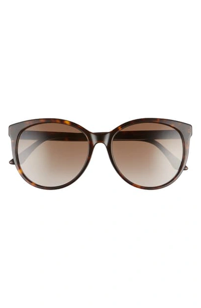 Shop Gucci 56mm Round Sunglasses In Medium Havana/ Brown