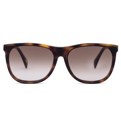 Shop Larsson & Jennings Dark Havana Wayfarer Sunglasses