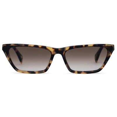 Shop Larsson & Jennings Light Havana Cat Eye Sunglasses