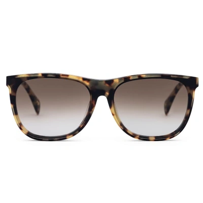Shop Larsson & Jennings Light Havana Wayfarer Sunglasses