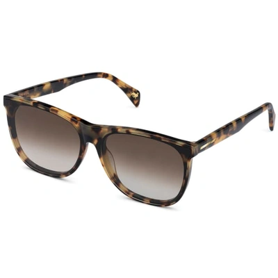 Shop Larsson & Jennings Light Havana Wayfarer Sunglasses